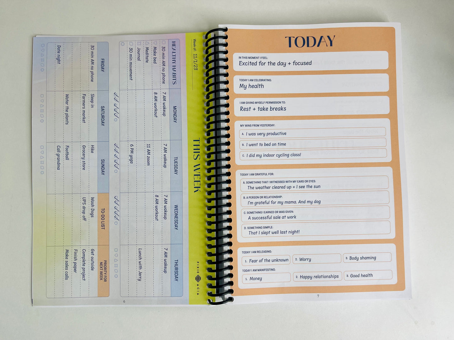 THE DAILY D.O.S.E. JOURNAL (spiral bound)